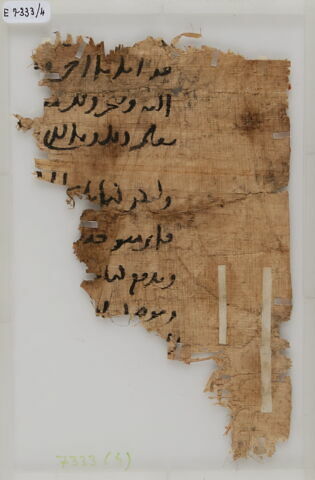 Papyrus, image 2/2