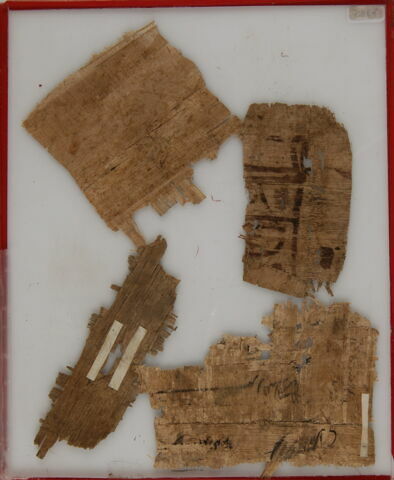 Papyrus, image 2/2