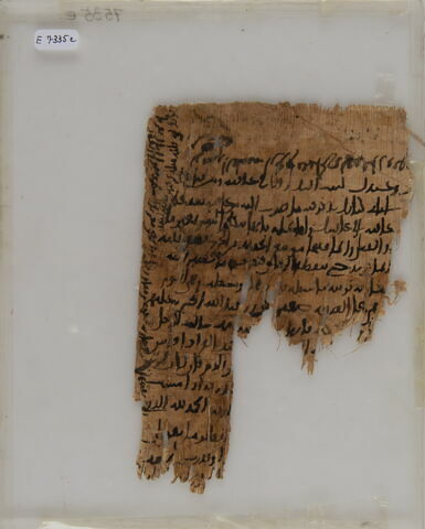 Papyrus, image 1/2