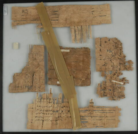 Papyrus, image 2/2