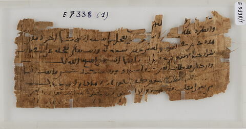 Papyrus, image 1/2