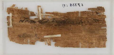 Papyrus, image 2/2
