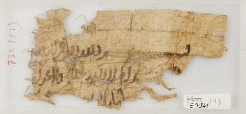 Papyrus, image 1/1