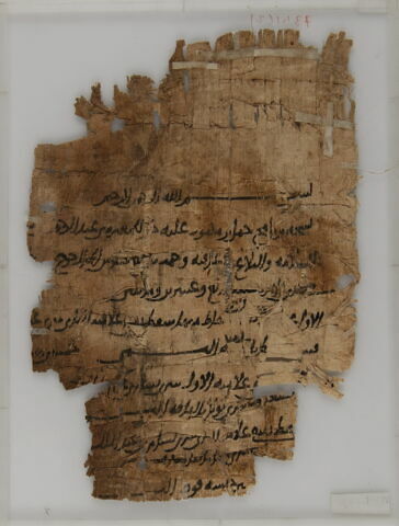 Papyrus, image 2/2