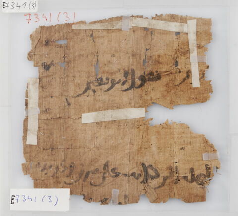 Papyrus, image 1/2