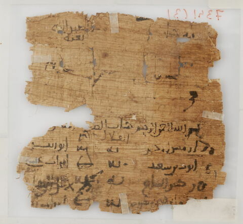 Papyrus, image 2/2