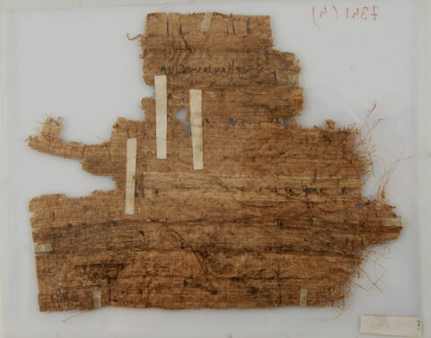Papyrus, image 2/2