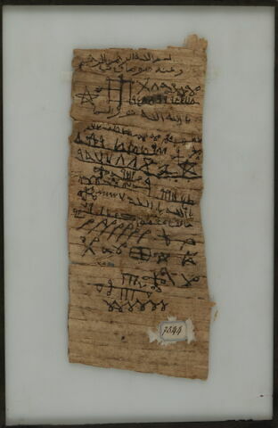 Papyrus, image 1/1