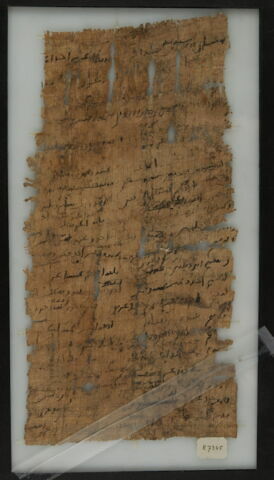 Papyrus, image 1/1