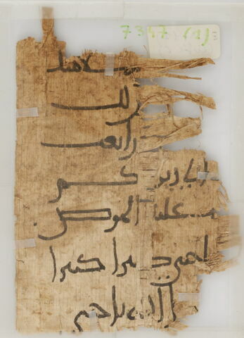 Papyrus, image 1/1