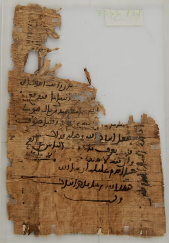 Papyrus, image 1/1