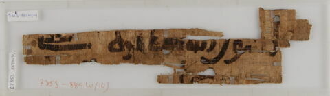 Papyrus, image 1/1