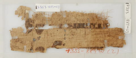 Papyrus, image 1/1