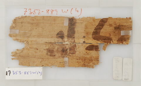 Papyrus, image 1/1