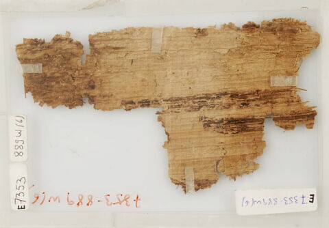 Papyrus, image 1/2