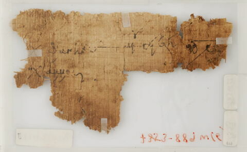 Papyrus, image 2/2
