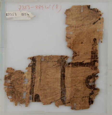 Papyrus, image 1/1