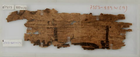 Papyrus, image 1/1