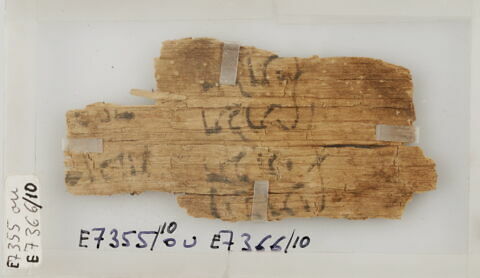 Papyrus, image 1/1