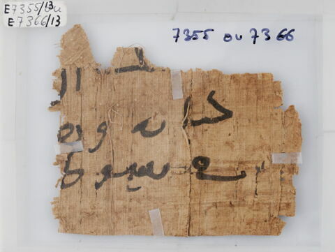Papyrus, image 1/1