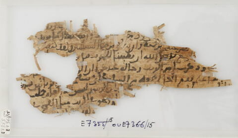 Papyrus, image 1/2