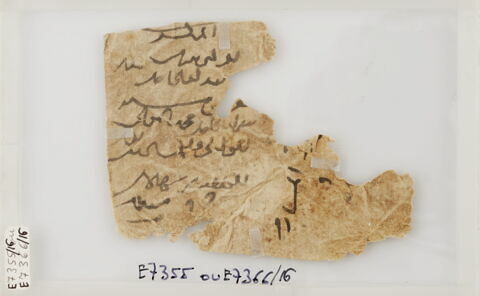 Papyrus, image 1/1