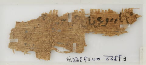 Papyrus, image 2/2