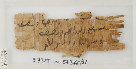 Papyrus, image 1/1