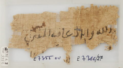 Papyrus, image 1/1