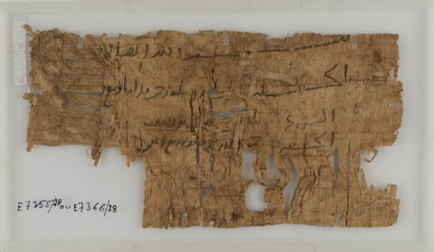 Papyrus, image 1/2
