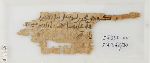 Papyrus, image 1/1