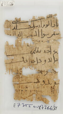 Papyrus, image 1/1