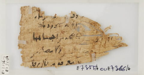 Papyrus, image 1/1