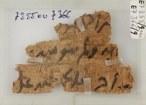 Papyrus, image 1/1