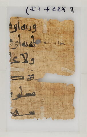Papyrus, image 1/2