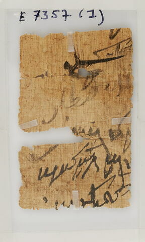 Papyrus, image 2/2