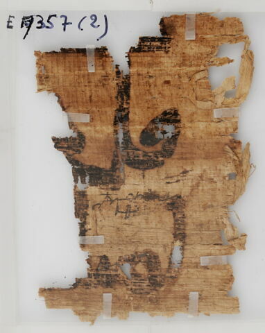Papyrus, image 1/2