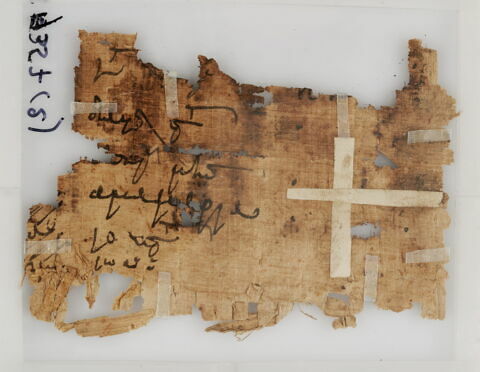 Papyrus, image 2/2