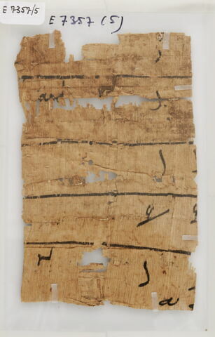 Papyrus, image 1/1