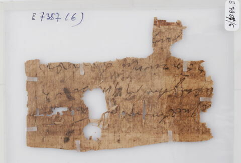 Papyrus, image 1/1