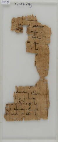 Papyrus, image 1/1