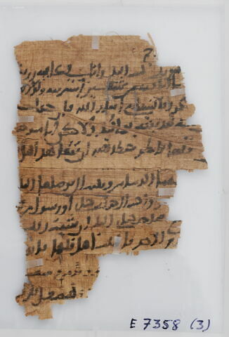 Papyrus, image 1/2
