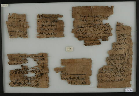 Papyrus, image 1/2
