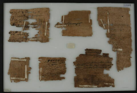 Papyrus, image 2/2