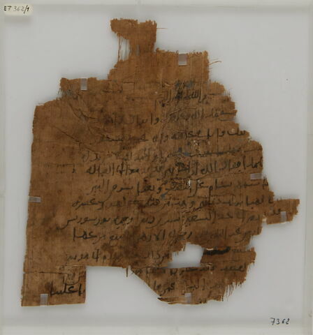 Papyrus, image 1/1