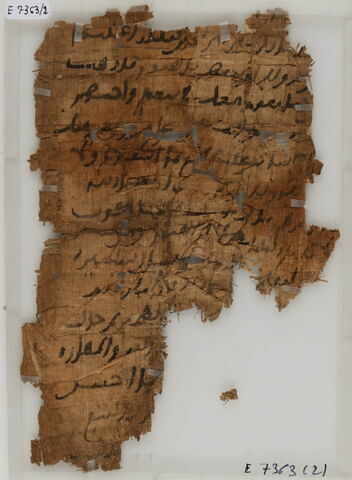 Papyrus, image 1/2