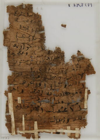 Papyrus, image 2/2