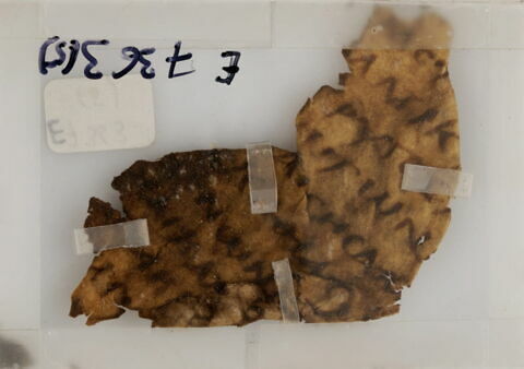 Papyrus, image 1/1