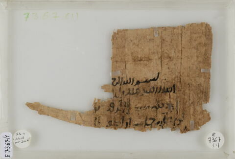 Papyrus, image 1/2