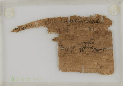 Papyrus, image 2/2